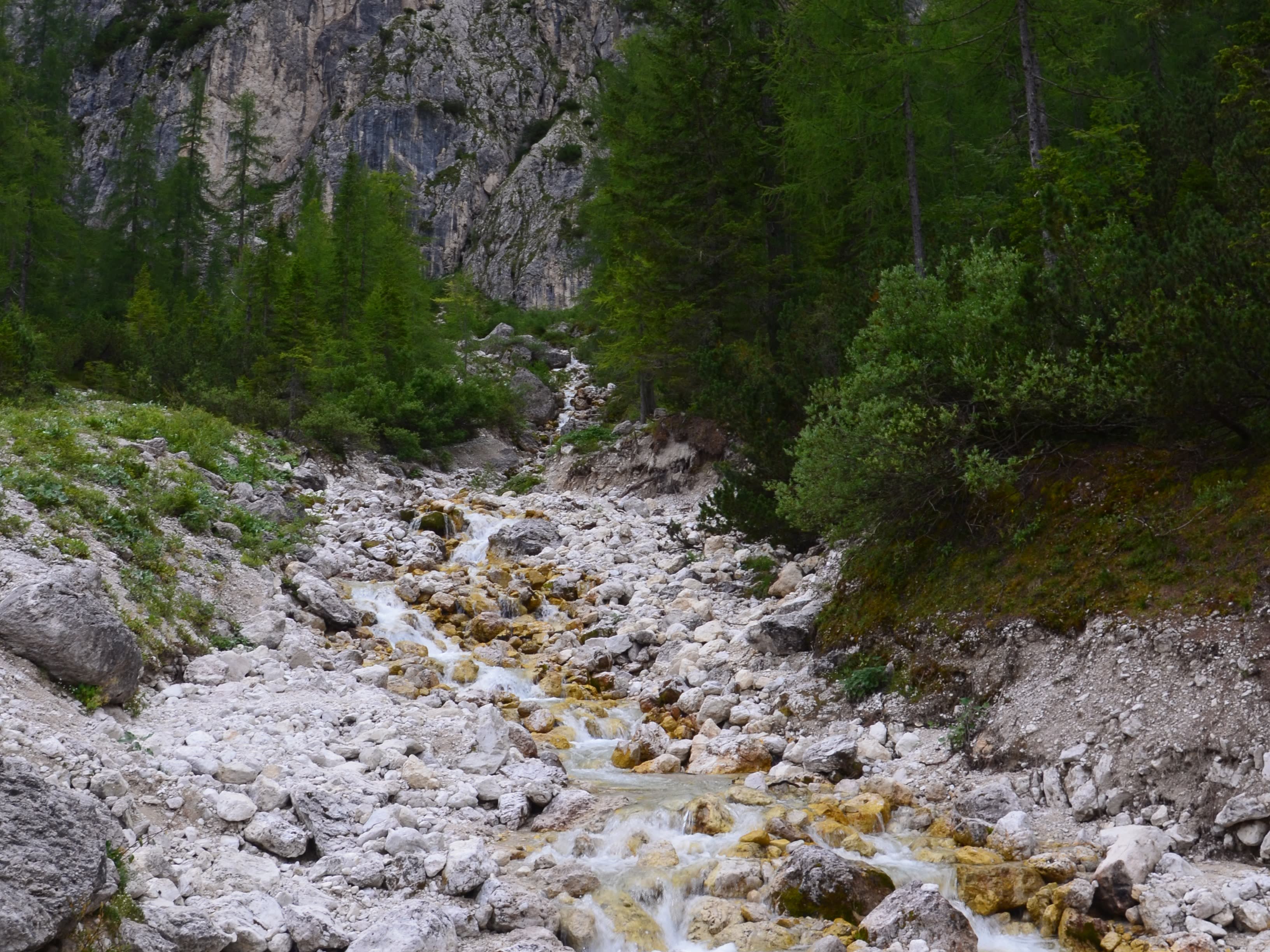 Torrente che scende circondato da boschi e roccia